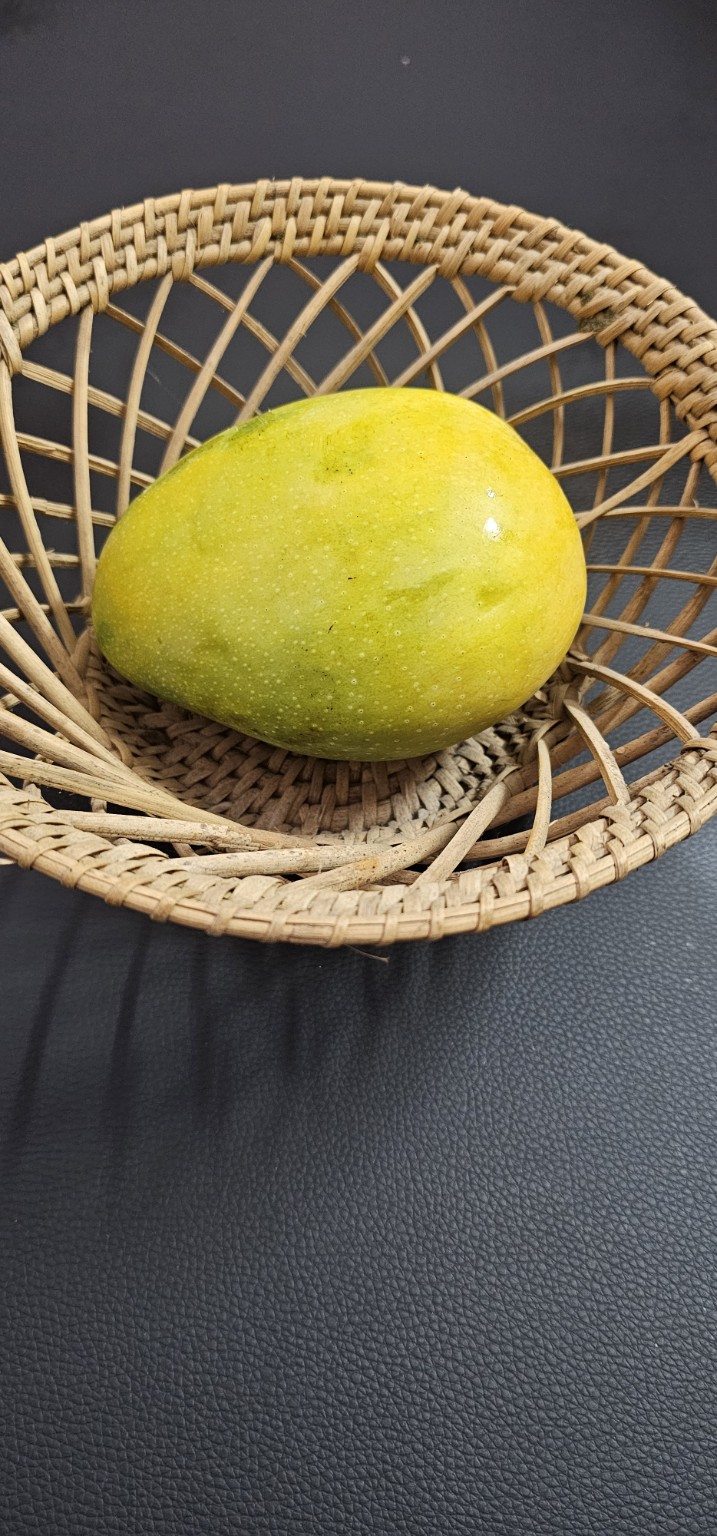 Banganapalli mangoes from Vathiyar Thottam, Muthanampatti