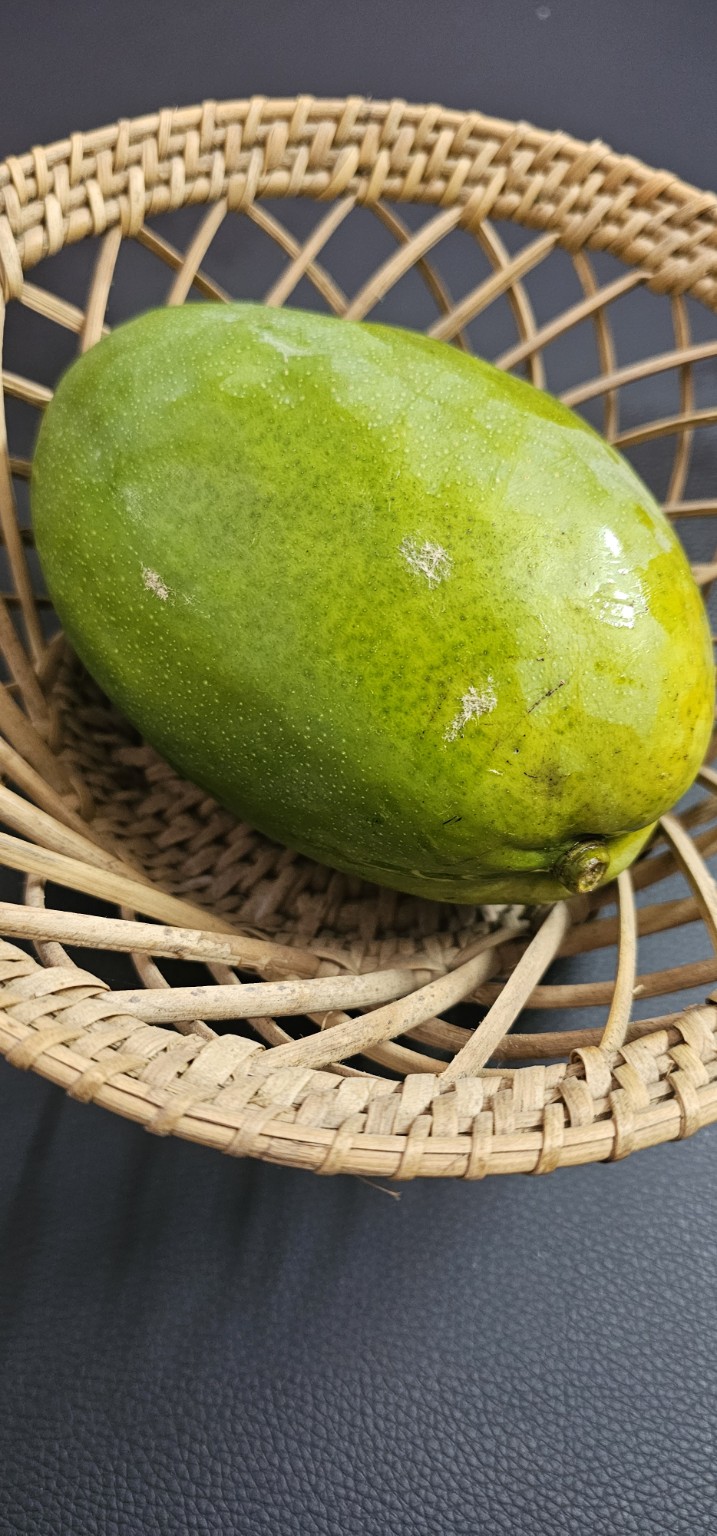 Imam Pasand mangoes from Vathiyar Thottam, Muthanampatti